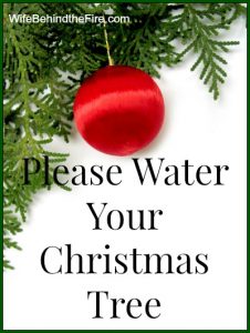 water christmas tree