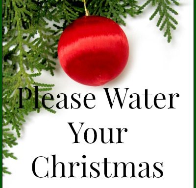 water christmas tree
