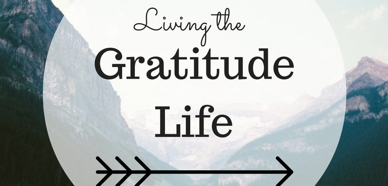 gratitude life
